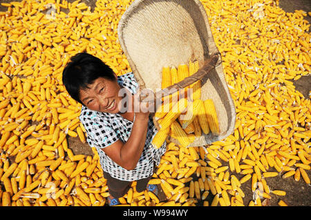 --FILE--A Chinese farmer dries corn in Dafengying village, Sheqi county, Nanyang city, central Chinas Henan province, 25 September 2011.   China saw a Stock Photo