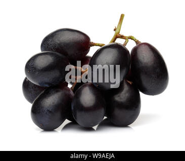 Fresh black grape isolated on white background Stock Photo