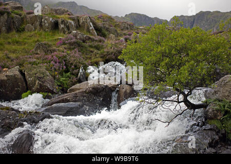 Cwm Idwal is a cirque (or corrie) in the Glyderau Range of the Snowdonia National Park. Shown here is the main outflow from Llyn (Lake) Idwal. Stock Photo