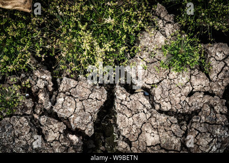 Cracked soil and grass in Dry pond Stock Photo