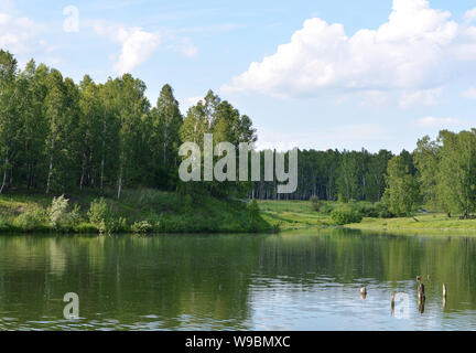 Landscape: forest and river, sunset stormy sky Stock Photo