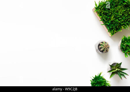 Artificial plants in various pots on white background Stock Photo