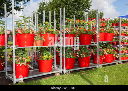 Wholesale Potted garden centre plants, shrubs & flowers on trolley; Horticultural industry, greenhouse mesh wire plant nursery Danish cart flower display dutch trolleys full of flowering plants for Southport Flower Show, 2019 Stock Photo