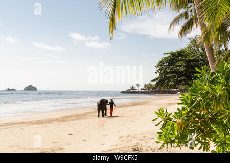 Koh Chang, Thailand - June 2019: Thai man walking an elephant on sandy Long Beach after bathing in the sea. Stock Photo