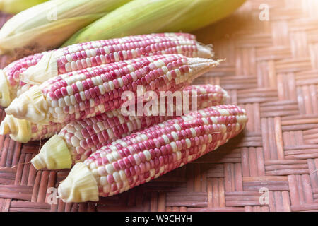 Colorful small ears waxy corns with silk, corn leaf on bamboo weave background for food and drink design. Stock Photo