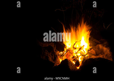 flame of a fire, in which natural brushwood burns, on a black background Stock Photo