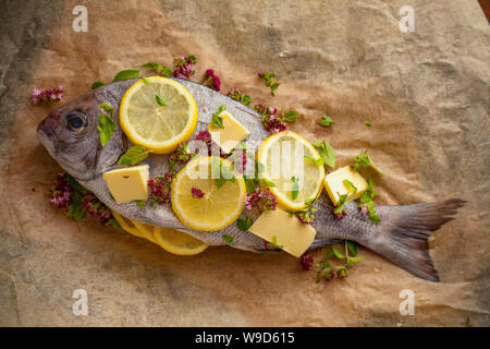 A raw, uncooked Black Bream, Spondyliosoma cantharus, that has been prepared to be cooked in a halogen oven en papillote. It has been placed on baking Stock Photo