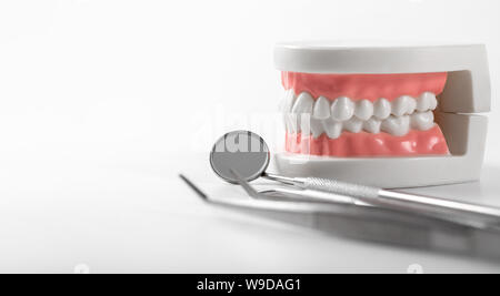 tooth model and dentist tools on white background with copy space Stock Photo