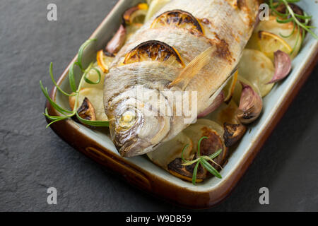 A cooked Black Bream, Spondyliosoma cantharus, that has been baked in a halogen oven. It has been placed on a bed of sliced potato with garlic cloves Stock Photo