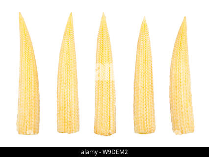 baby corn path isolated on white Stock Photo