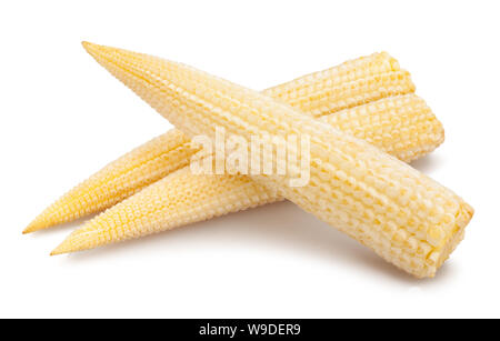 baby corn path isolated on white Stock Photo