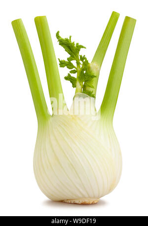 fennel path isolated on white Stock Photo