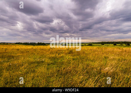 Panoramic view over landscape at Minsmere, Suffolk, UK Stock Photo