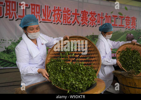 Xingye, China's Guangxi Zhuang Autonomous Region. 13th Aug, 2019. A contestant participates in a tea stir-frying competition in Xingye County of Yulin, south China's Guangxi Zhuang Autonomous Region, Aug. 13, 2019. A total of 20 contestants participated in the competition on Tuesday, aiming to promote tea farmers' skills and poverty alleviation. Credit: Cao Yiming/Xinhua/Alamy Live News Stock Photo