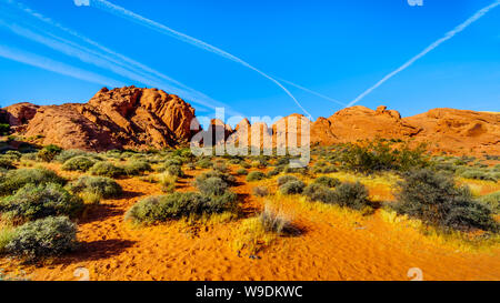 Colorful Sandstone Mountains at Sunrise on the Rainbow Vista Trail in the Valley of Fire State Park in Nevada, USA Stock Photo