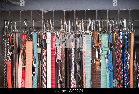 Mainz, Germany. 13th Aug, 2019. Numerous dog leashes hang on a lattice in the animal shelter of the state capital. Credit: Andreas Arnold/dpa/Alamy Live News Stock Photo