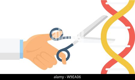 Scissors cut dna icon. Flat illustration of scissors cut dna vector icon for web design Stock Vector