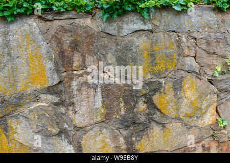 Old yellow painted stone wall with ivy for background. Stock Photo