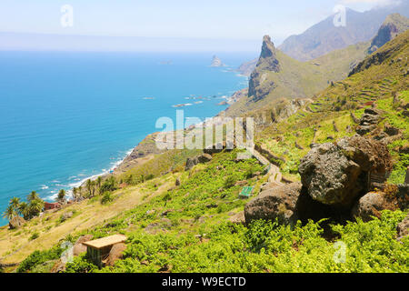 Beautiful Rural Park of Anaga with rock mountains seascape nature vegetations toursim in Tenerife.