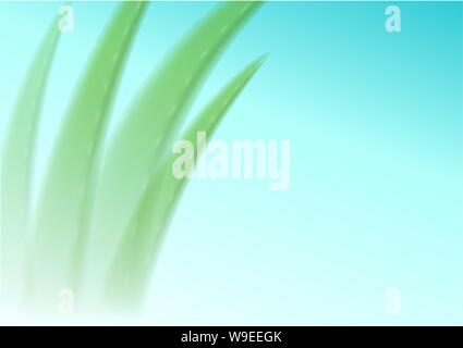 Aloe vera blurred on a blue background. Editable Background for cosmetics advertising, banner, catalog or poster Stock Vector