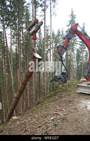 Timber harvesting with skyline crane and manipulator in autumnal misty forest in steep terrain of low mountain range of the Austrian Alps. Stock Photo