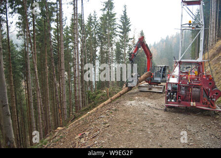 Timber harvesting with skyline crane and manipulator in autumnal misty forest in steep terrain of low mountain range of the Austrian Alps. Stock Photo