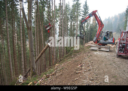 Timber harvesting with skyline crane and manipulator in autumnal misty forest in steep terrain of low mountain range of the Austrian Alps. Stock Photo