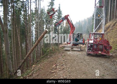 Timber harvesting with skyline crane and manipulator in autumnal misty forest in steep terrain of low mountain range of the Austrian Alps. Stock Photo