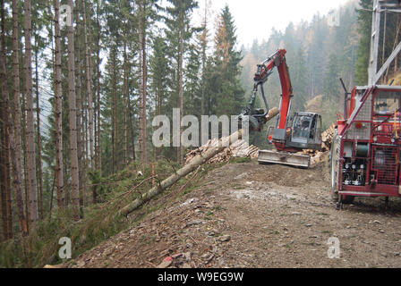 Timber harvesting with skyline crane and manipulator in autumnal misty forest in steep terrain of low mountain range of the Austrian Alps. Stock Photo