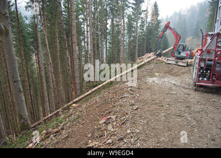 Timber harvesting with skyline crane and manipulator in autumnal misty forest in steep terrain of low mountain range of the Austrian Alps. Stock Photo