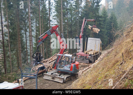 Timber harvesting with skyline crane and manipulator in autumnal misty forest in steep terrain of low mountain range of the Austrian Alps. Stock Photo