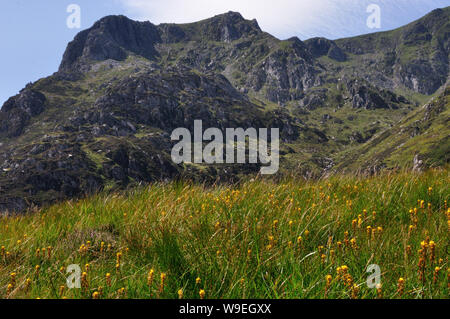 Wanderung in der Umgebung des 'Llyn Idwal' in Wales - Snowdonia Nationalpark -  in den Cambrian Mountains. Stock Photo