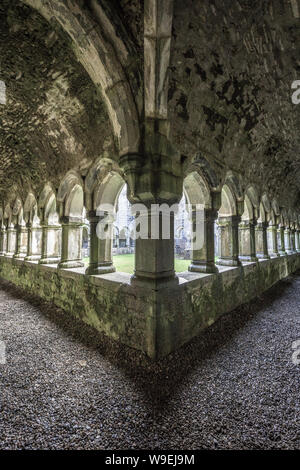 old Moyne Abbey near Killala, Co Mayo, Ireland Stock Photo