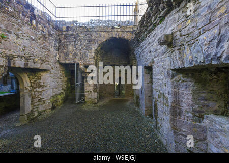 old Moyne Abbey near Killala, Co Mayo, Ireland Stock Photo