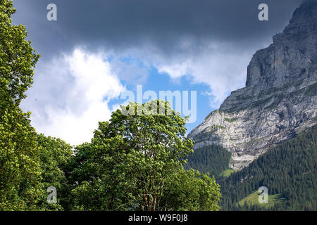 Cloudscape with tree and high mountain. Dramatic sky above valley. Sudden change in weather. Swiss alps landscape. Stock Photo
