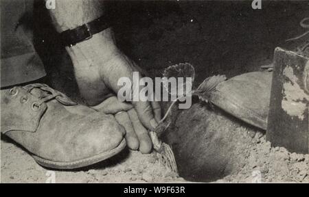 Archive image from page 18 of Culture du fraisier dans l'est Stock Photo