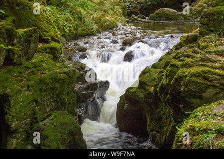 Tollymore Forest Park, Newcastle, Co Down, Northern Ireland Stock Photo
