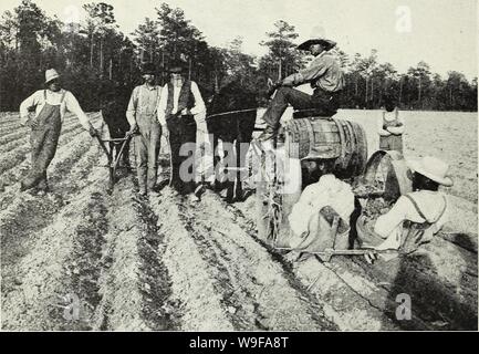 us flue cured tobacco growers The culture of flue-cured tobacco. Tobacco. 24 BULLETIN 16, U. S.  DEPARTMENT OF AGRICULTURE. When transplanting, so far as possible use only  good, strong plants of uniform size. The plants should