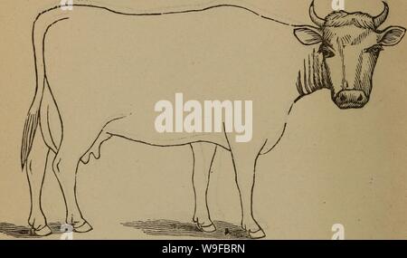 Archive image from page 29 of Cunningham's device for stockmen and. Cunningham's device for stockmen and farmers  cunninghamsdevi00cunn Year: 1882 ( Color Marks DESCRIPTION Weight Stock Photo