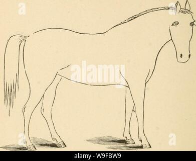 Archive image from page 29 of Cunningham's device for stockmen and. Cunningham's device for stockmen and farmers  cunninghamsdevic00cunn Year: 1882 ( DESCRIPTION Color Marks Height Stock Photo