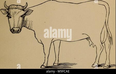 Archive image from page 30 of Cunningham's device for stockmen and. Cunningham's device for stockmen and farmers  cunninghamsdevi00cunn Year: 1882 ( Age Defects DESCRIPTION Brands