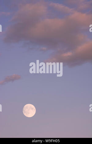Skyscape with full moon  and colofur clouds of the sunset Stock Photo