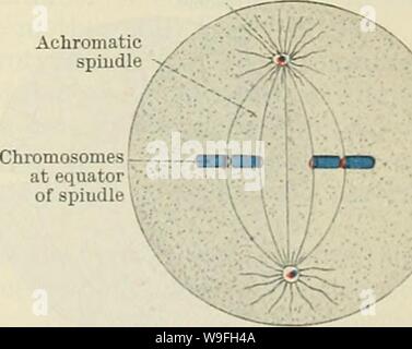 chromatic-lamina — Have you considered?