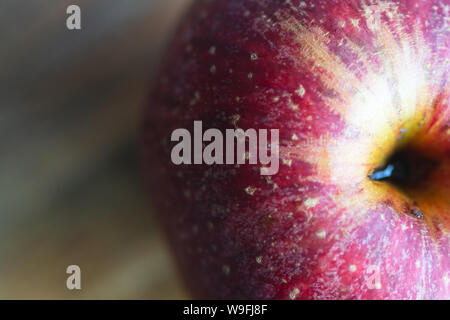 This macro shot of a freshly picked apple (Malus domestica) reveals its subtle shading and colors. Stock Photo