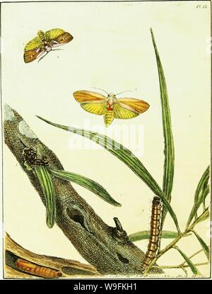Archive image from page 51 of A natural history of the