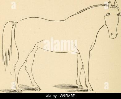 Archive image from page 55 of Cunningham's device for stockmen and
