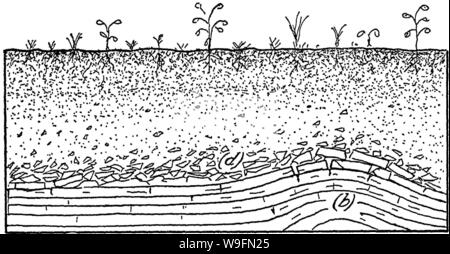 Archive image from page 55 of Soils, their properties and management