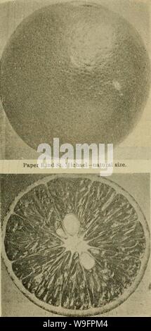 Archive image from page 62 of Culture of the citrus in