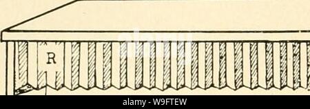 Archive image from page 69 of Culture methods for invertebrate animals;. Culture methods for invertebrate animals;  culturemethodsfo00galt Year: 1959 ( 34 Marine Invertebrates By using Miquel's seawater Allen and Nelson (1910) were able to obtain persistent cultures of the following species of diatoms: Asterio- nella japonica, Biddulphia mobiliensis, B. regia, Chaetoceras densum, C. decipiens, C. constrictum, Cocconeis scutellum, Coscinodiscus excen- tricus, C. granii, DityUum brightwellii, Lauderia borealis, Nitzschia —-. closterium, N. closte- rium forma minutissima, N. seriata, Rhizosolenia Stock Photo