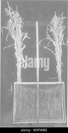 Archive image from page 73 of Productive soils; the fundamentals of